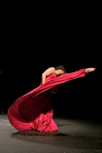 pina-mouvement